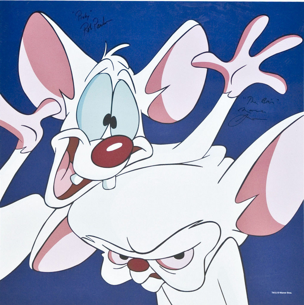 ワーナーブラザース　ピンキー&ブレイン Amazon.com: Pinky and the Brain, Vol. 1 : Maurice LaMarche