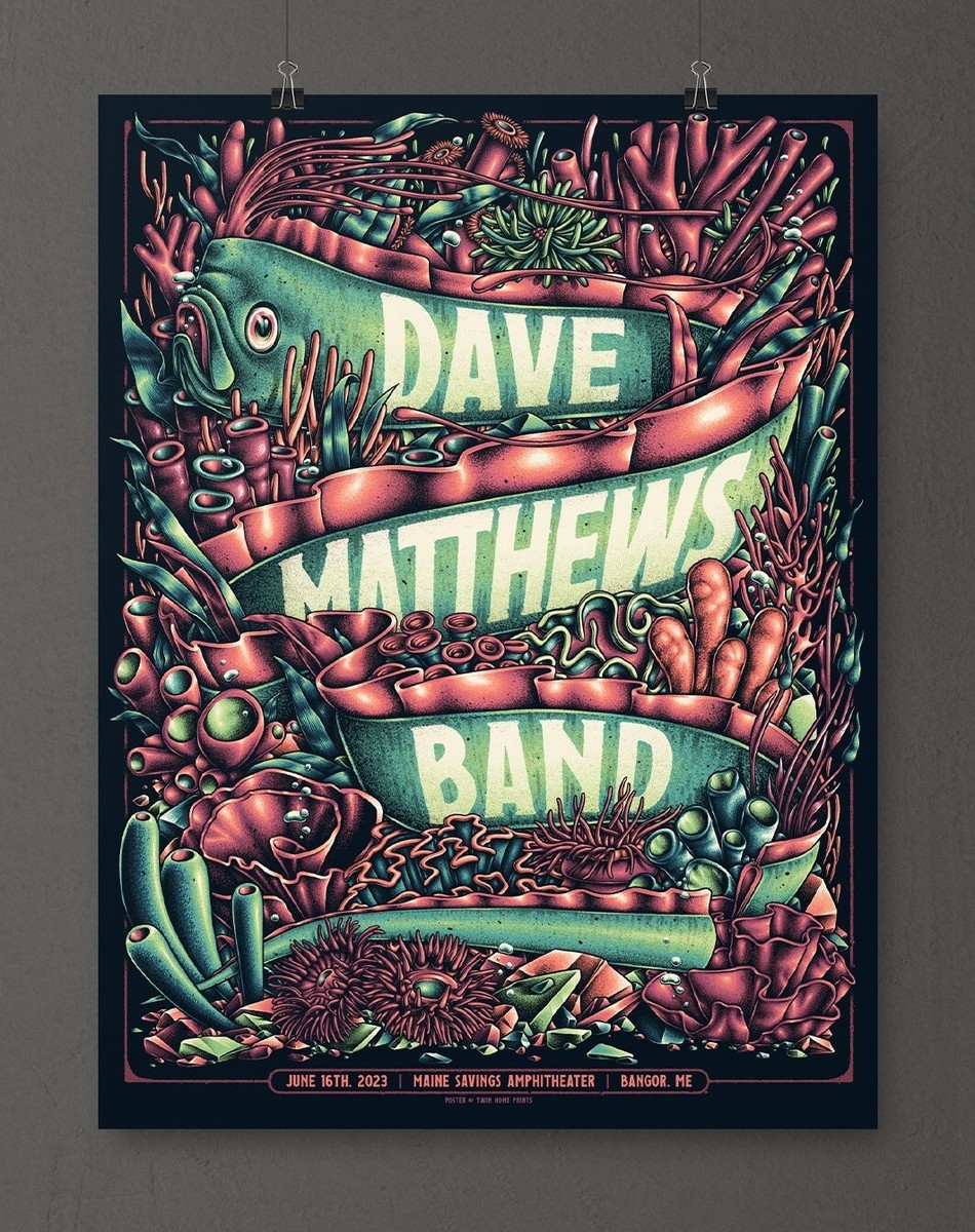Dave Matthews Band Chicago 2025 Concert T-Shirt – Unisex Gildan 5000 – Reprint Short Sleeve – Multiple Sizes S-3XL