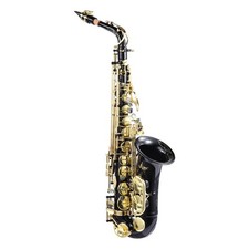 Brass Eb Alto Saxophone Sax Gold With Case Student Beginner Accessories NEW
