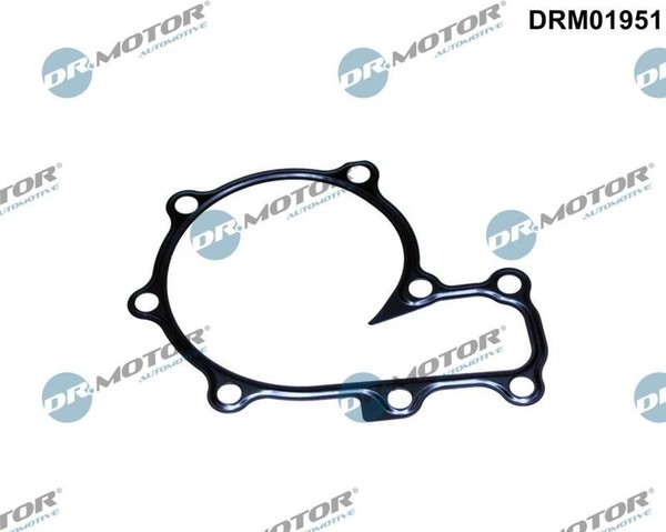Dr.Motor Automotive Dichtung, Wasserpumpe DRM01951 FüR Ford-image