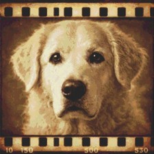 Hungarian Kuvasz Puppy Dog Echoes on Film Counted Cross Stitch