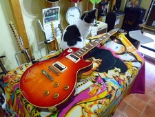 Edwards E-LPS E-Gitarre Palisander Griffbrett Mahagoni Hals