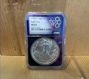 2025 Silver | eBay