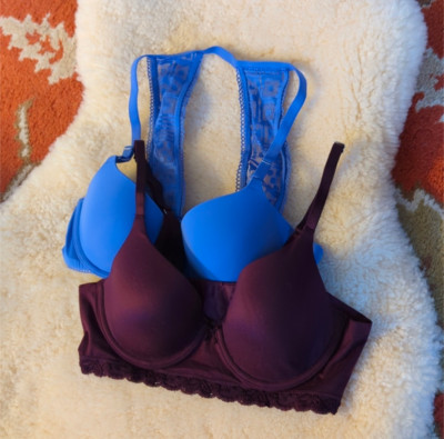 Pair of Aerie Pushup Bras, Size 34B