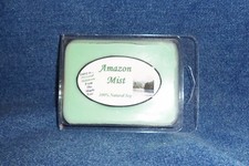 NEW Hand Poured Tropical Scents Soy Candles Tarts Votives - Amazon Mist