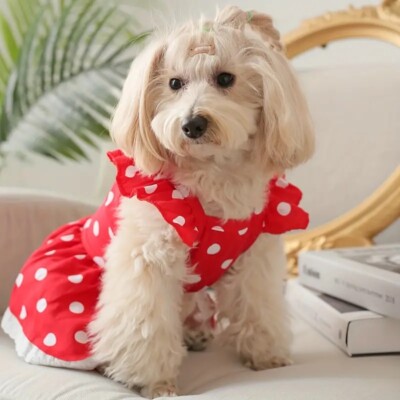 NEW Puppy Pet Dog Polka Dot Dress Cat Summer Clothes Free Ladybug Hair Clip