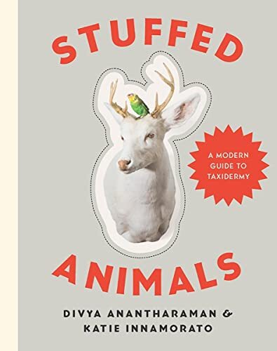 Stuffed Animals: A Modern Guide to Taxidermy by Divya Anantharaman HARDBACK - Image 4
