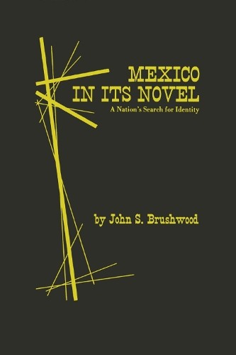 Mexico in Its Novel – A Nation`s Search for Identity Brushwood Paperback