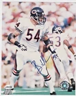 Brian Urlacher Autographed Chicago Bears 8x10 Photo HOF JSA