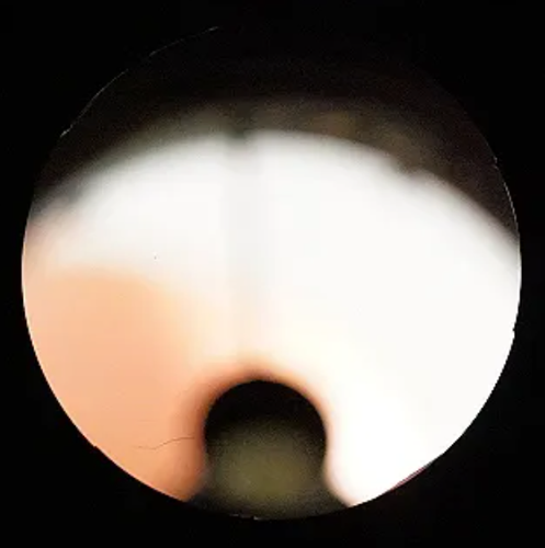 Takahashi MT-130 Newtonian Reflector Telescope 130mm f/6.1 with Finder Serviced - Picture 7 of 13