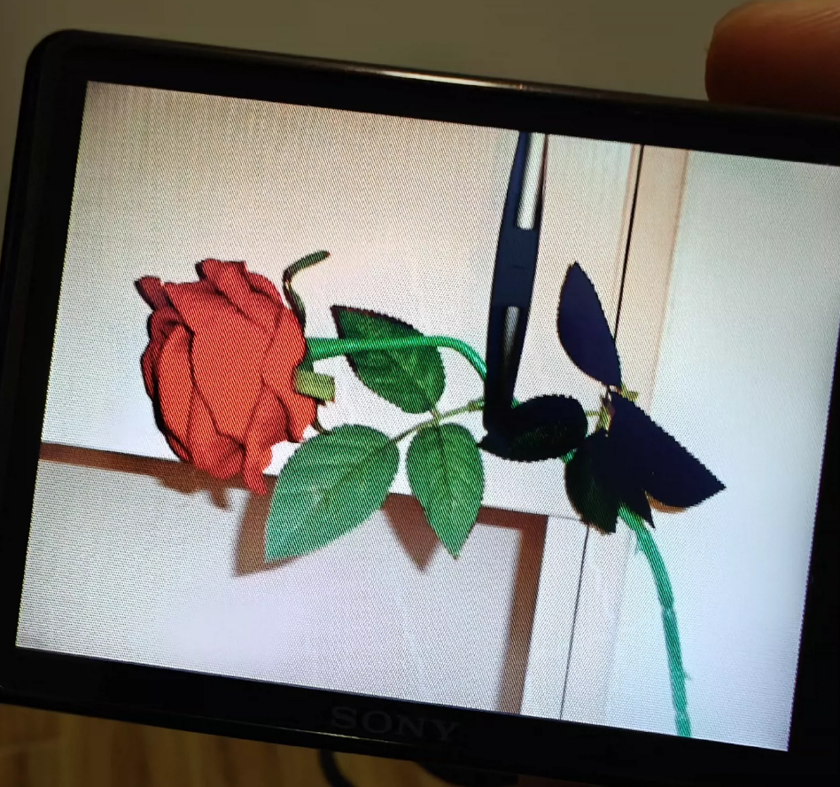 Picture 4 of 8