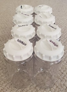 Centrifuge Bottles 250 mL Corning 431842 PC with Silicone O-ring Cap. 8 Bottles.