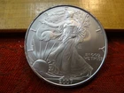 2007 United States American Silver Eagle 1 Oz 0.999 Silver Coin - No Reserve
