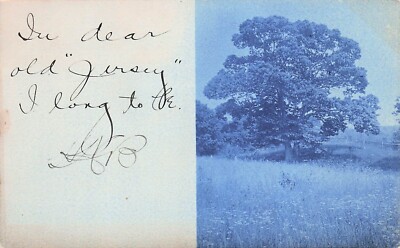 Postcard Vintage(1)In dear old ''Jersey'' I long to be UP (#169)