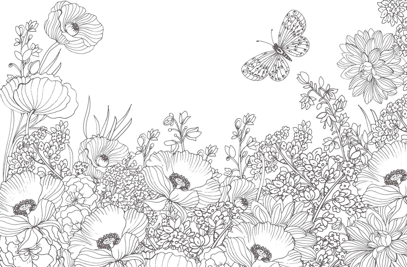 Thumbnail - Inspiration Blumenwiese 50 Motive Zum Ausmalen Für Mehr Entspannung