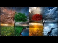 Landscape seasons collage art trees plants flowers grass Custom Gaming Mat Desk