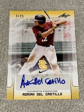 ADRIAN DEL CASTILLO 2017 LEAF PERFECT GAME AUTOGRAPH CARD #3/25 DIAMONDBACKS