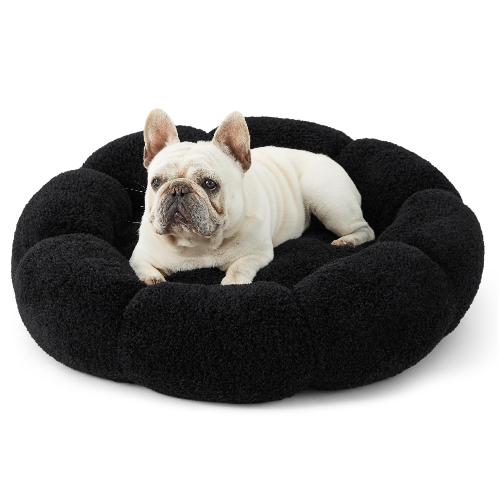 Lesure Calming Medium Dog Bed - Flower Donut Round Fluffy Puppy Bed in Plush ...