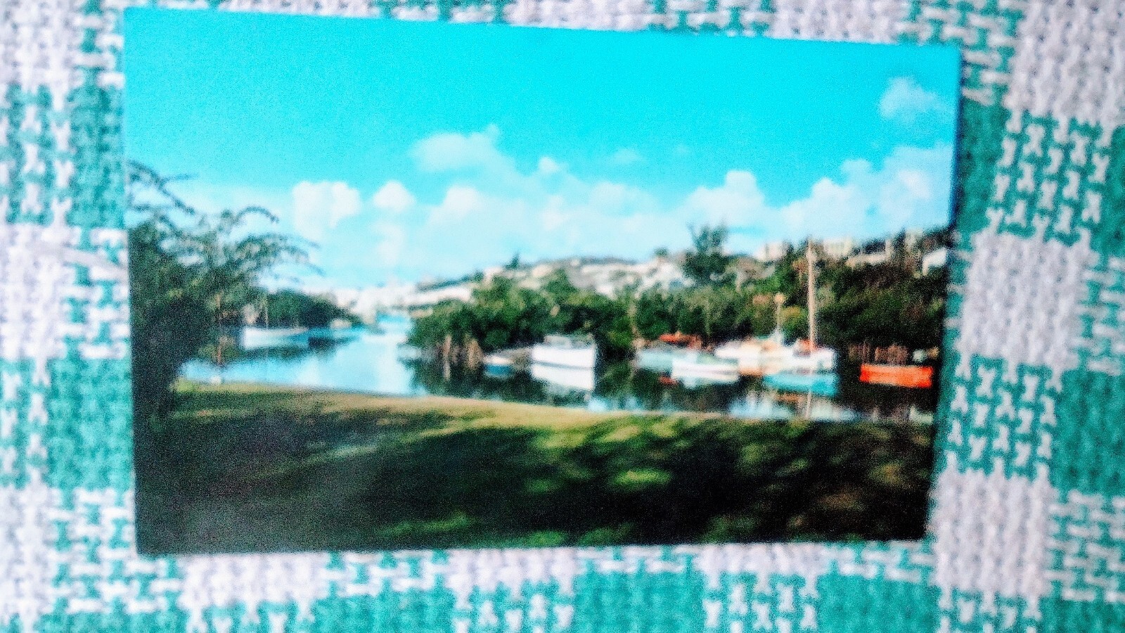 Picture 10 of 11