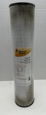 Pentair Water Pentek RFFE20-BB Radial Flow Iron Reduction Filter Cartridge