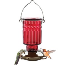 Hanging Glass Hummingbird Feeder for Outdoor Decor, 22 Ounce Capacity Nectar ...
