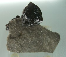 RUBY JACK SPHALERITE ON DOLESTONE SHARD, Elmwood Mine, Carthage, Tennessee USA