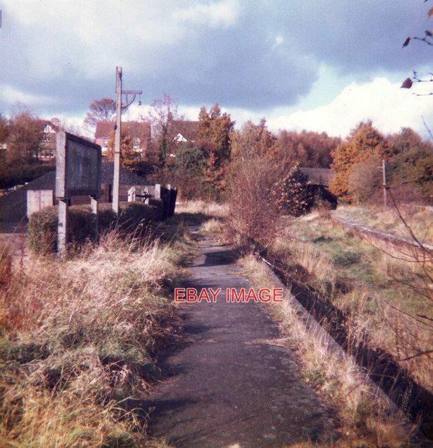 Foto 1 di 1