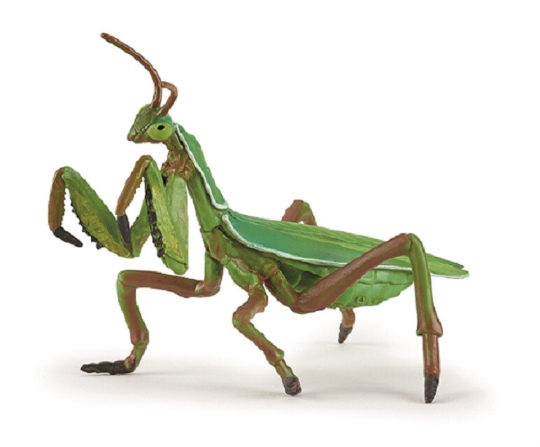 Papo 50244 Praying Mantis 10 Cm Wildlife