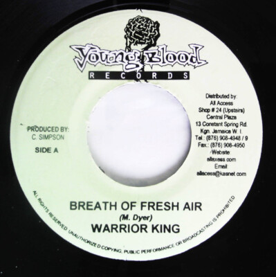 Warrior King - Breath Of Fresh Air / VG / 7'''', RE