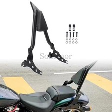 Schienale Sissy Bar Passeggero Posteriore Staccabile per Harley Breakout FXSB 2013-2021