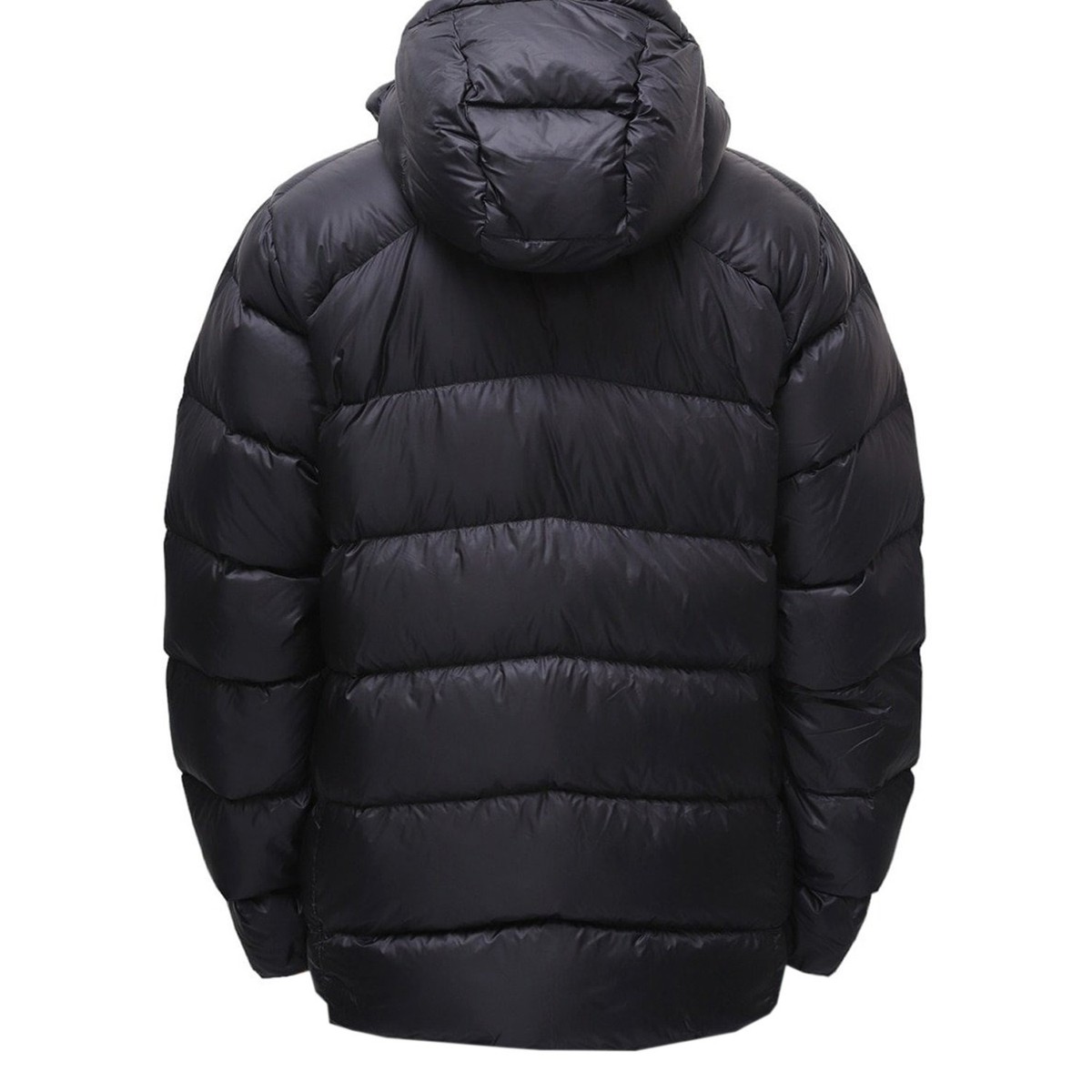 Patagonia Men