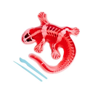 Scout Dissect-It Salamander