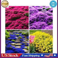 5000+ Mix Creeping Thyme Seeds Ground Cover for Planting, Heirloom Thymus Serpyl