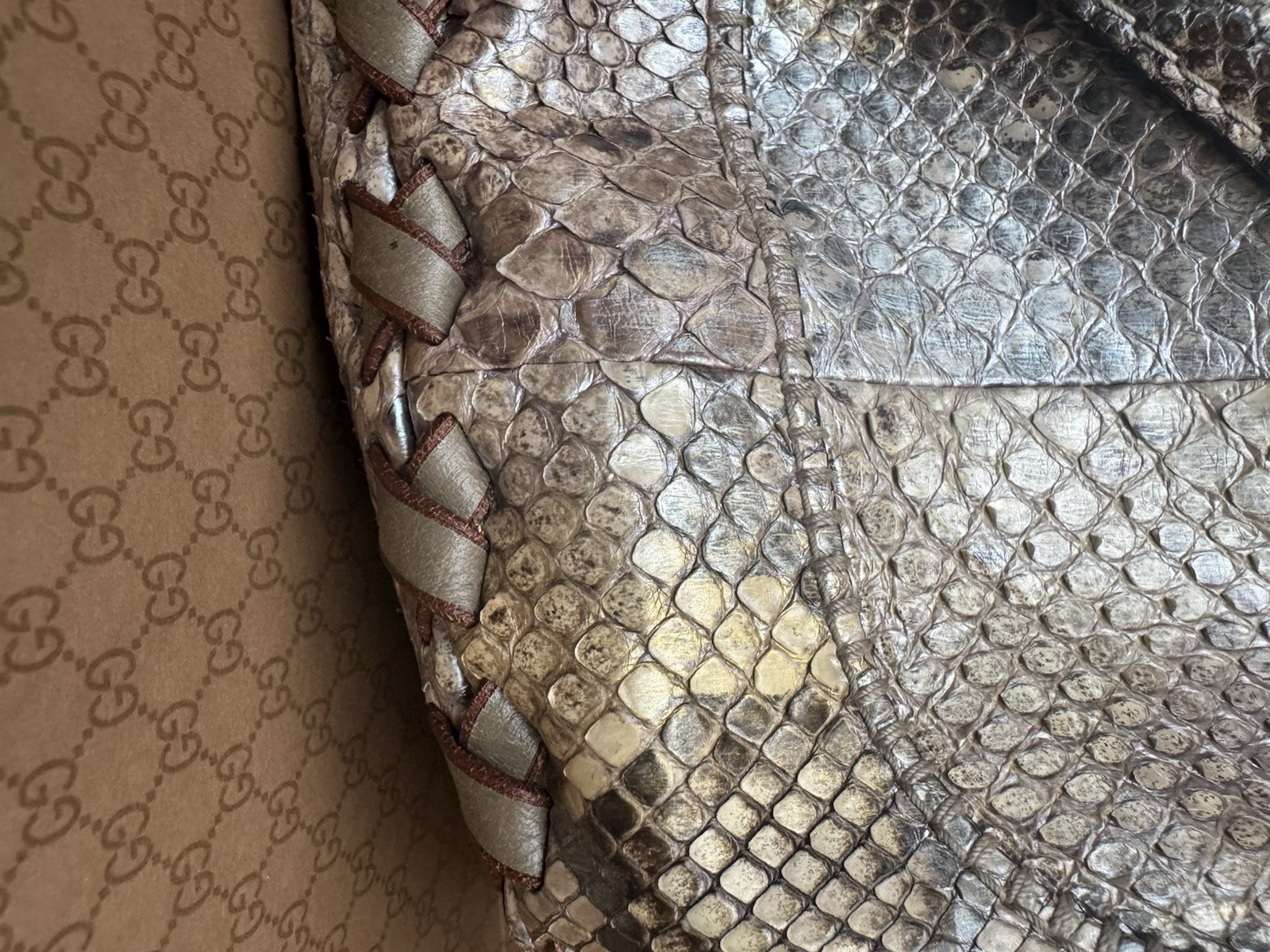 GUCCI Jackie Bag Python leather Hobo  Large Bag B… - image 16