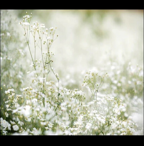 Bild 2 von 5