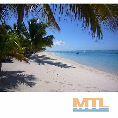 KIESKÖNIG 5 kg Beachsand Spielsand Naturweiss 0,1 - 0,4 mm Testpaket