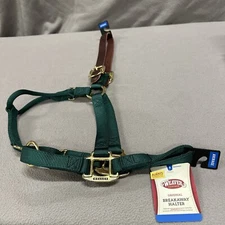 1" Nylon Adjustable Leather Crown Halter Horse Hunter Green Brass Average