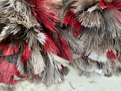 Special set of 2- soft first grade two tone ostrich feather dusters - - Picture 4 of 14