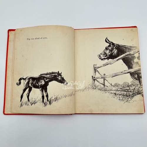 Flip and the Cows Written & Illustrated by Wesley Dennis 1955 Vintage Hardcover - Picture 7 of 10