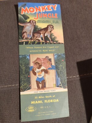 Monkey Jungle Miami FL card Where Humans Are Caged & Monkeys Run Wild 1950s