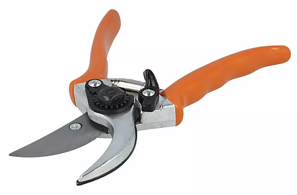 Ebay secateurs 2024