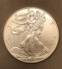2013 Brilliant Uncirculated American Silver Eagle 1 Ounce Fine Silver One Dollar