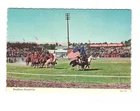 Pendleton Roundup Pendleton OR vintage postcard unposted