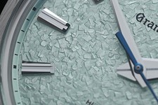 Grand Seiko Evolution 9 Collection Green Genbi Valley SLGH021 SLGH021G MINT 4