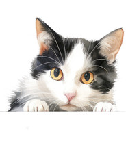 XXL 18X18 Autoaufkleber Spähende Katze Aufkleber Wetterfester Vinyl Sticker