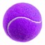The Purple Tennis Ball