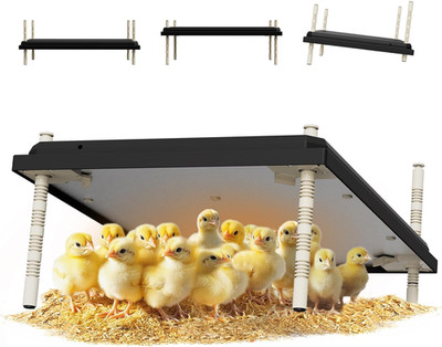 Adjustable Chick Brooder Heating Plate - 80W, Heats 50 Chicks, Energy Efficient
