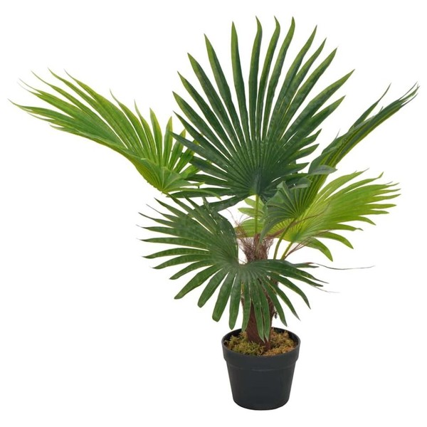 KüNstliche Pflanze Palme Mit Topf GrüN 70 Cm-image