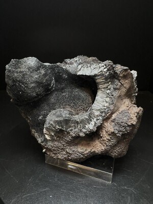 Hochwertige Pyrolusit Geode aus Marokko - Sammlerstück, Mineral