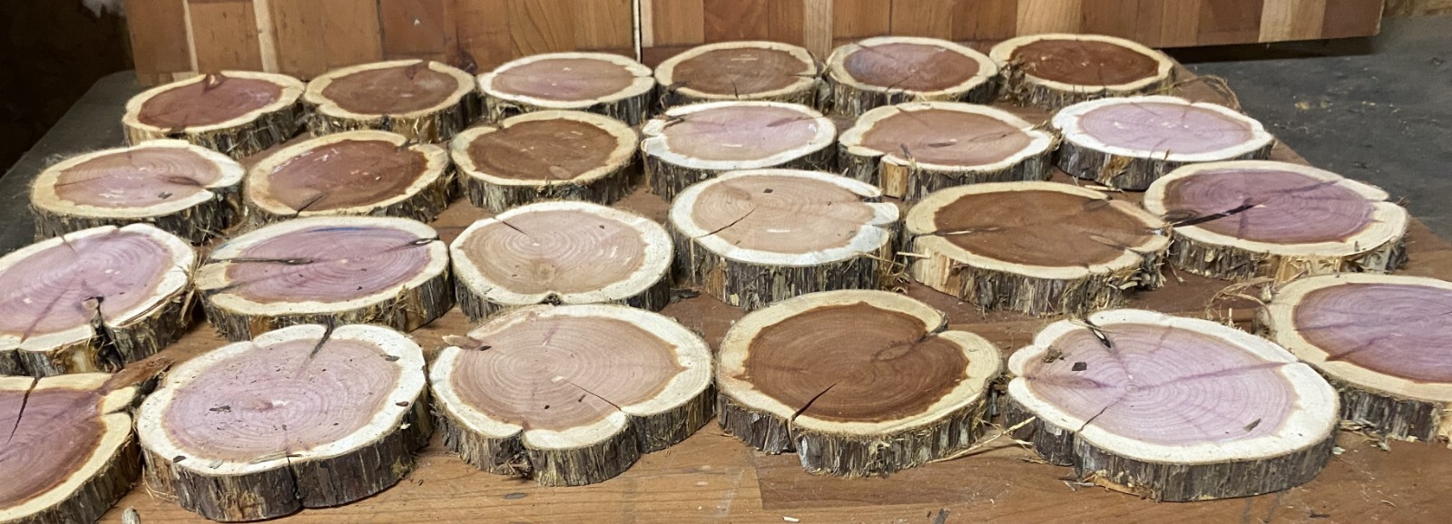 24 Rustic Live Edge Red Cedar Rounds, Cookies, Wood Working, Craft Wood, Slices